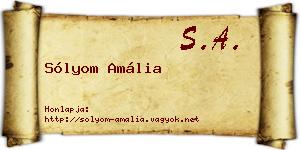 Sólyom Amália névjegykártya